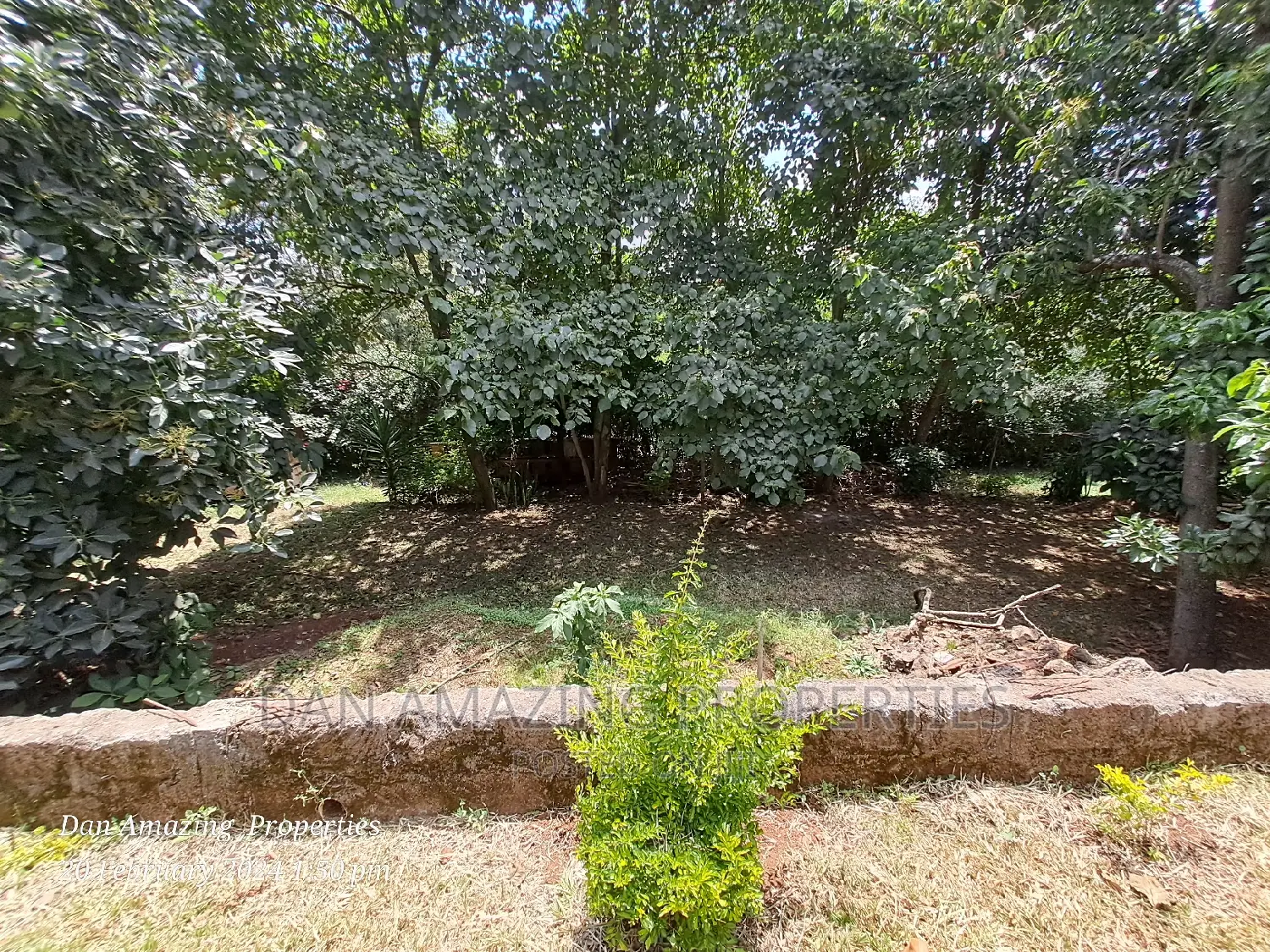 Commercial 4 Bedroom to Let in Karen-Gataka Road on 1/2 Acre