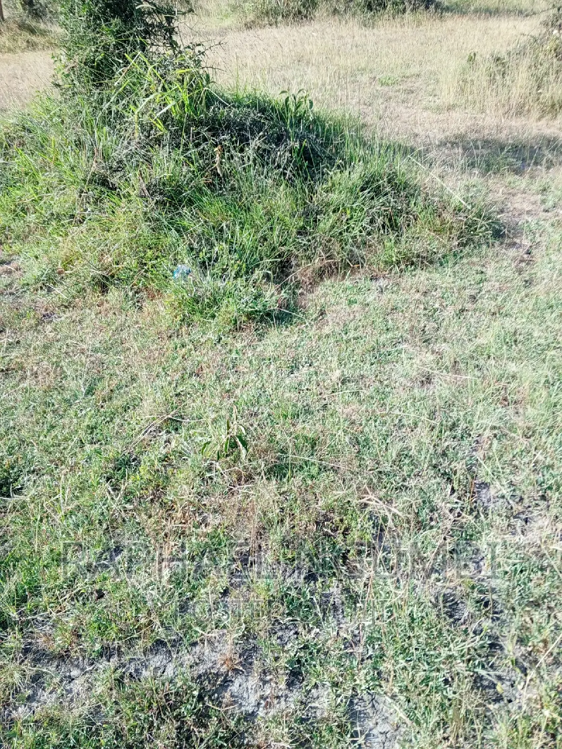 3.5acres Machakos/Katumani Road. Contact