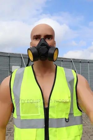 Buy Np 306 Respirator Mask Of High-quality