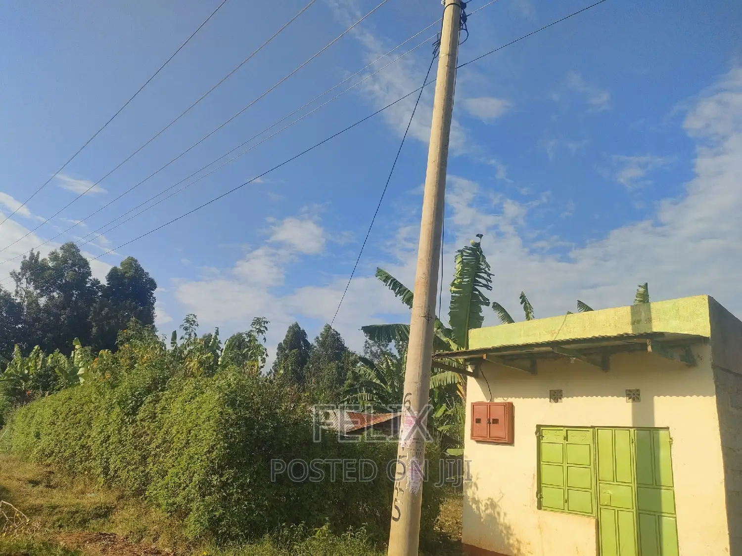 Kirinyaga,Kibirigwi 40/60 Rental House on Sale