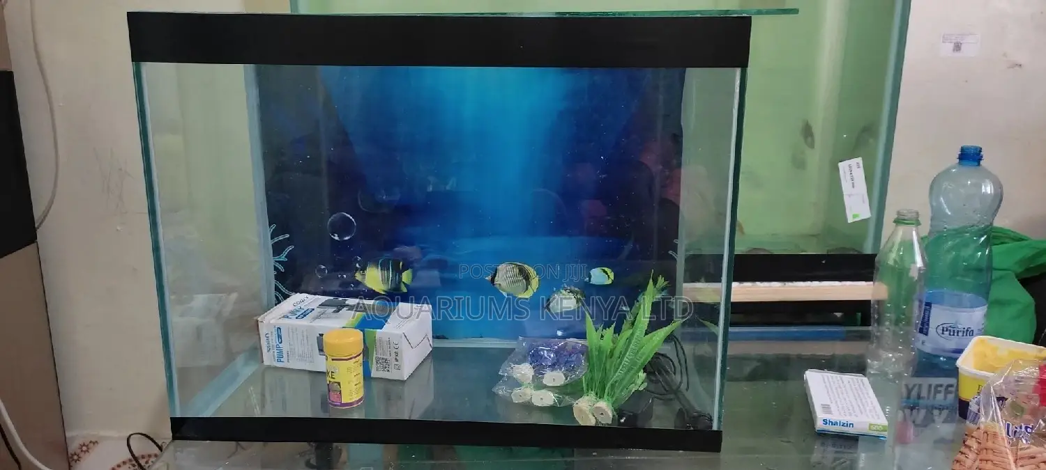 Complete Set Aquarium 80litres