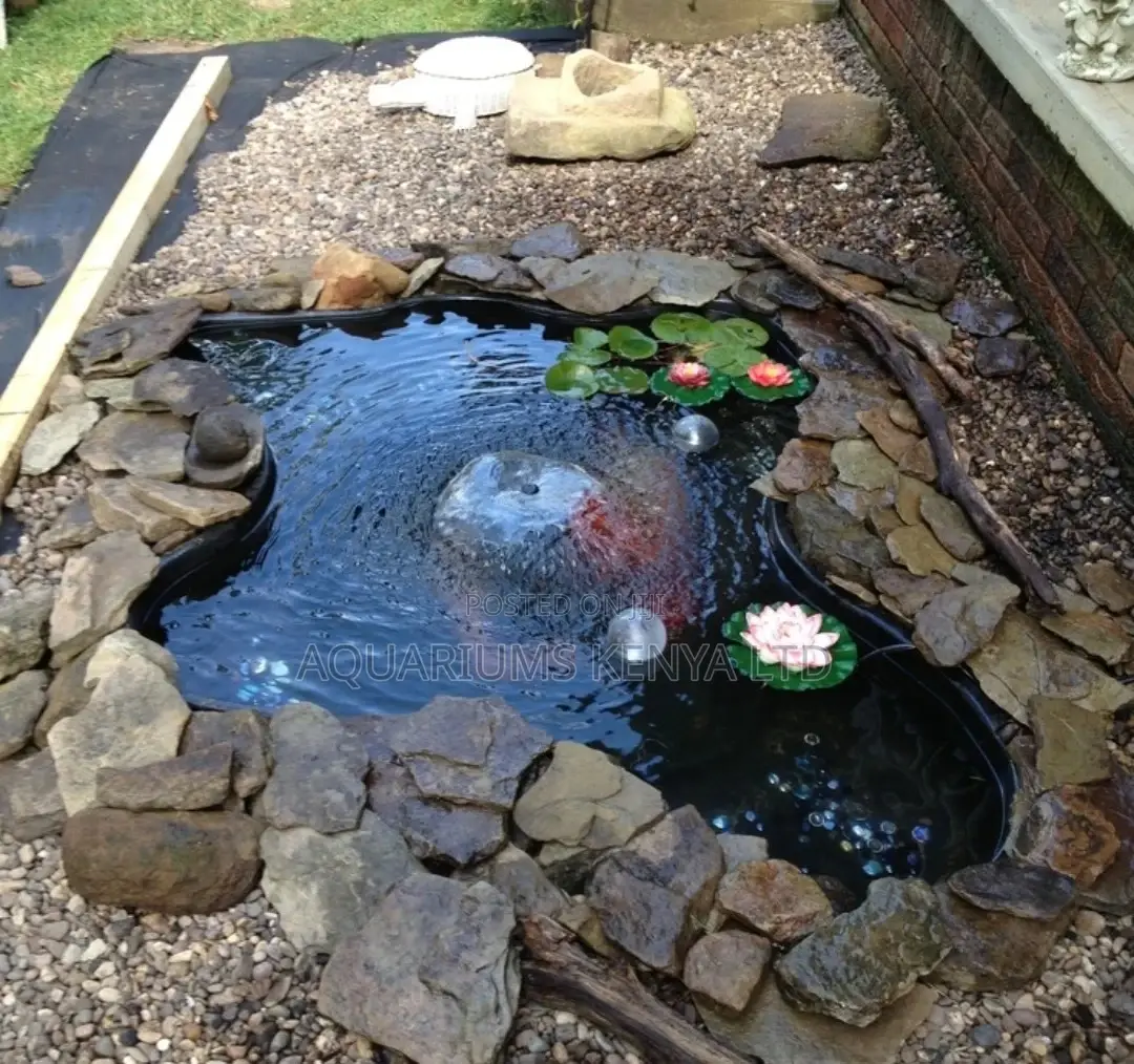 Outdoor Garden Pond, Ornamental Fish Pond