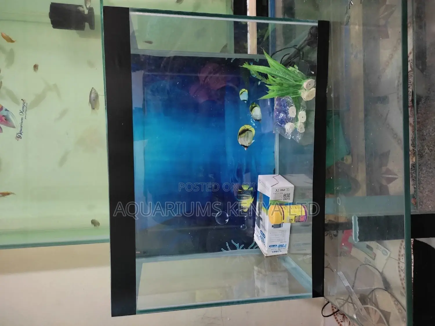 Complete Set 80 L Aquarium , 2ft by 1ft by 11⁄2ft
