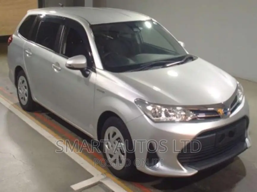 Toyota Corolla Fielder 2018 Silver