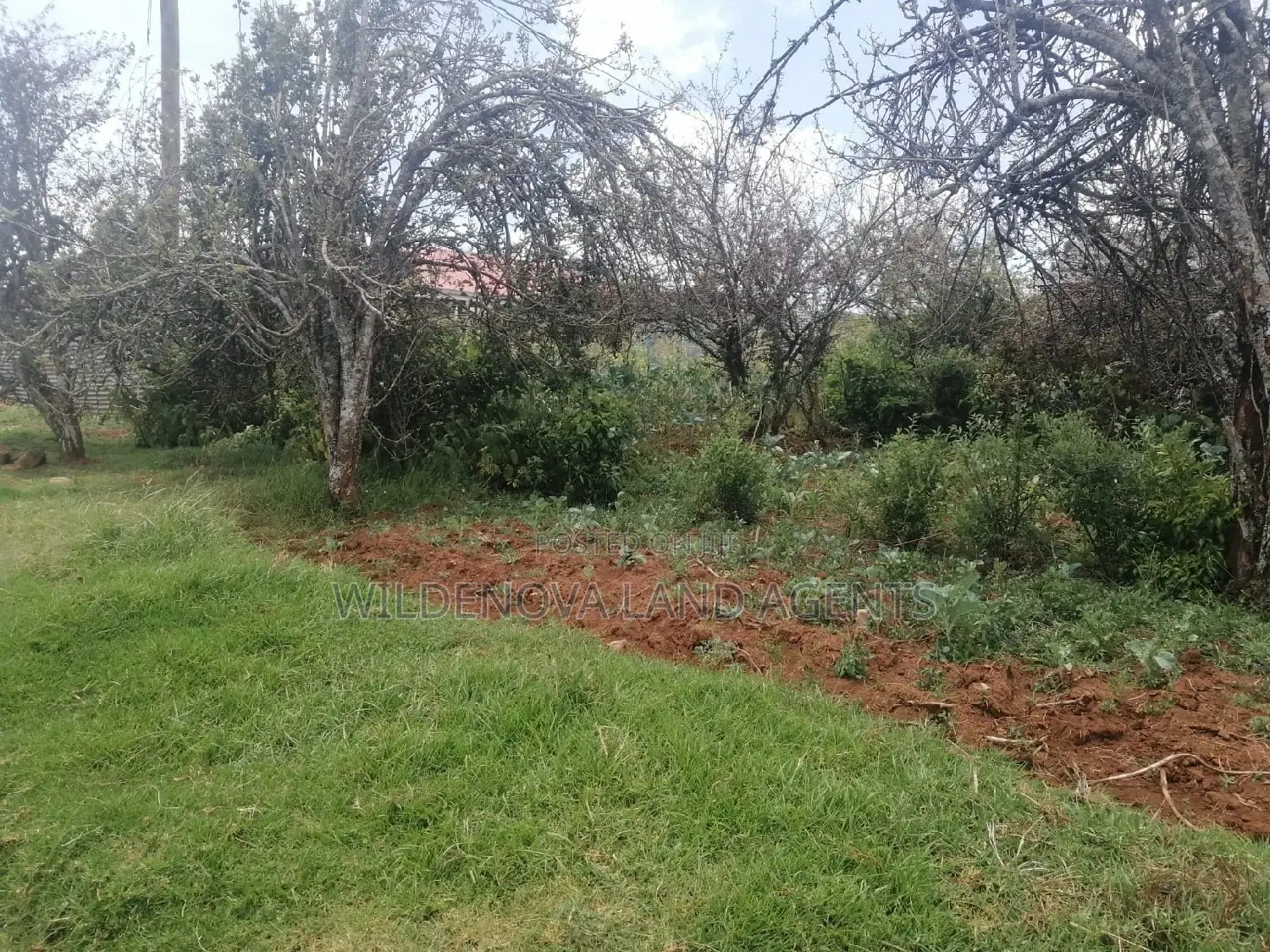 Land on Sale at Limuru Kinyogori Kiambu