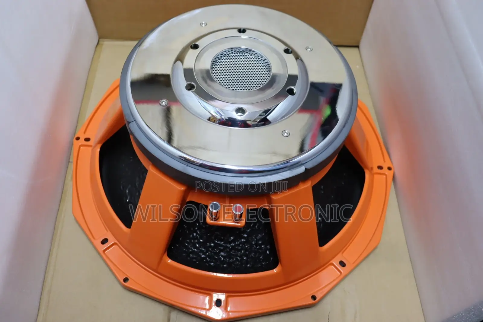 PD1882 18 Inches. Naked Speaker.