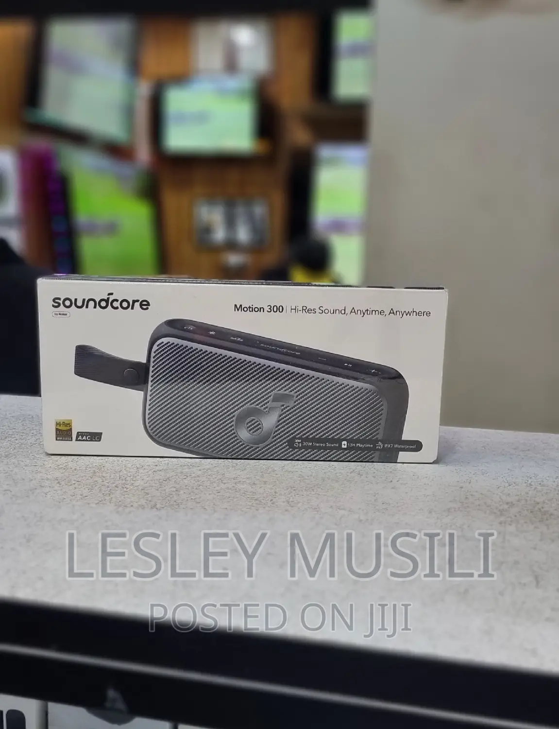 Soundcore Motion 300 Wireless Hi-Res Portable Speaker