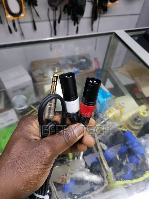 6.35mm (1/4inch) TRS Male Plug to 2 Dual XLR Male Stereo Unb