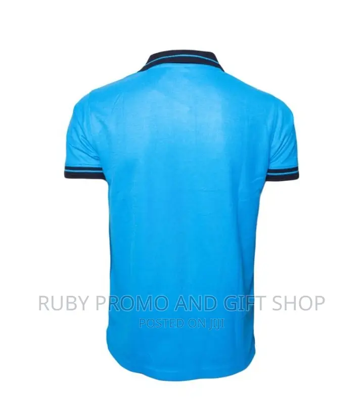 Tea Blue Polo T-Shirt With Black Striped Colar