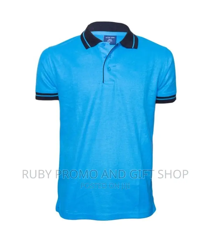 Tea Blue Polo T-Shirt With Black Striped Colar