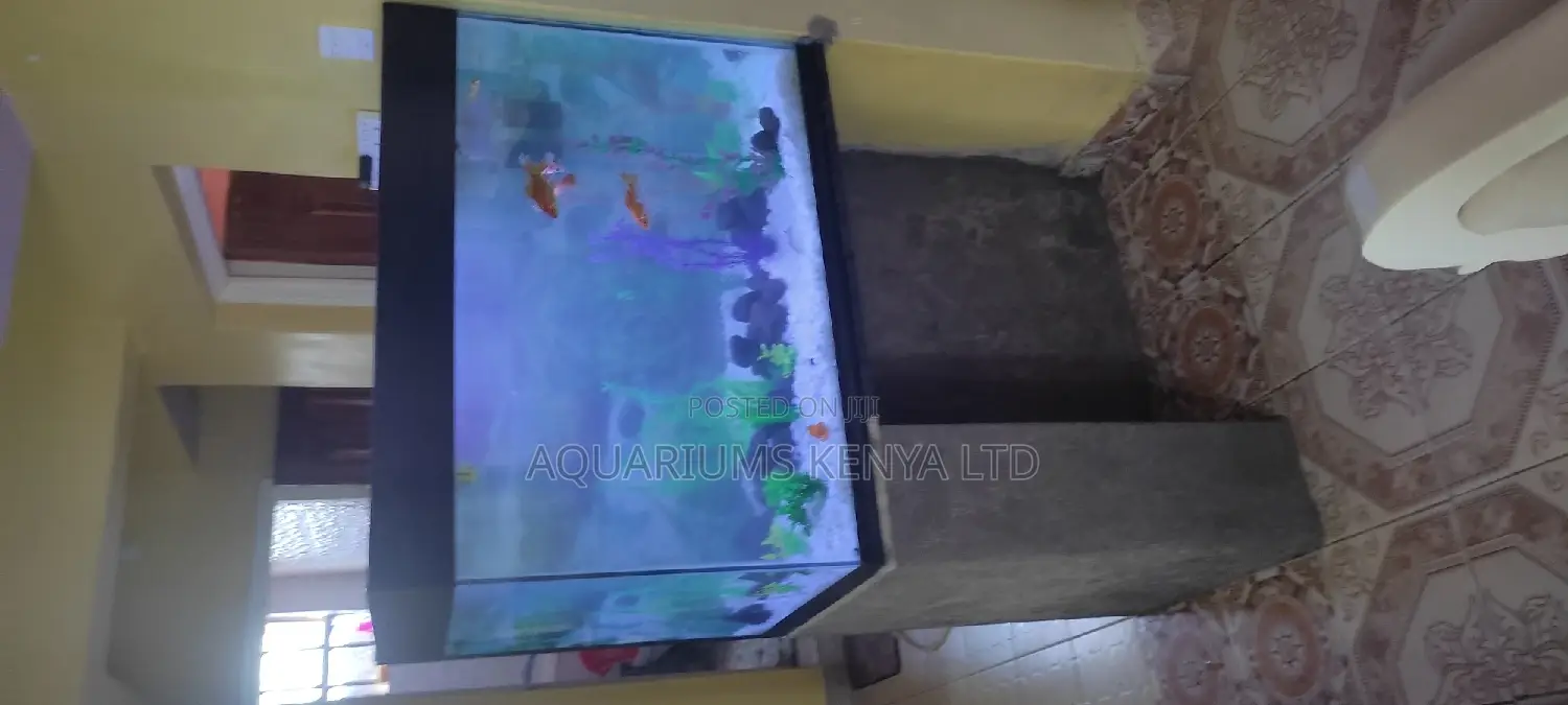 Relaxing Aquariums
