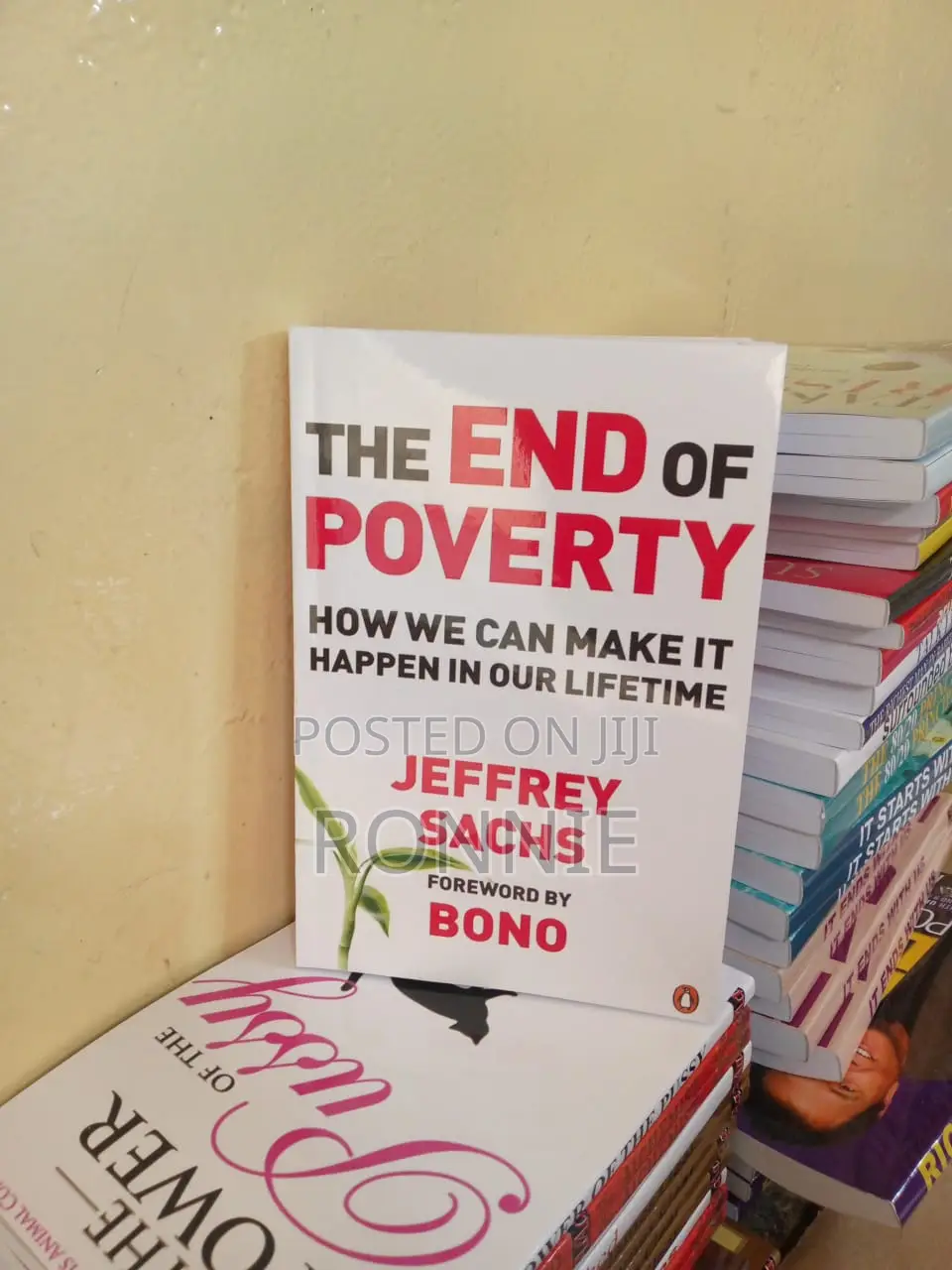 The End of Poverty: Economic Possibilities for Our Time by J