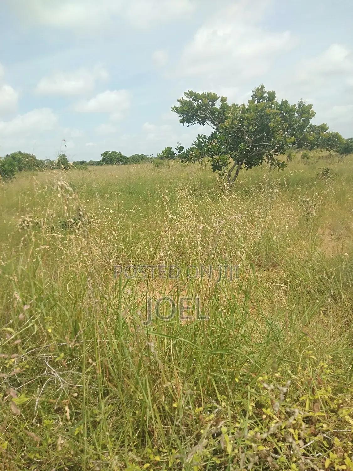 65 Acres Land Malindi Ready Title Deed