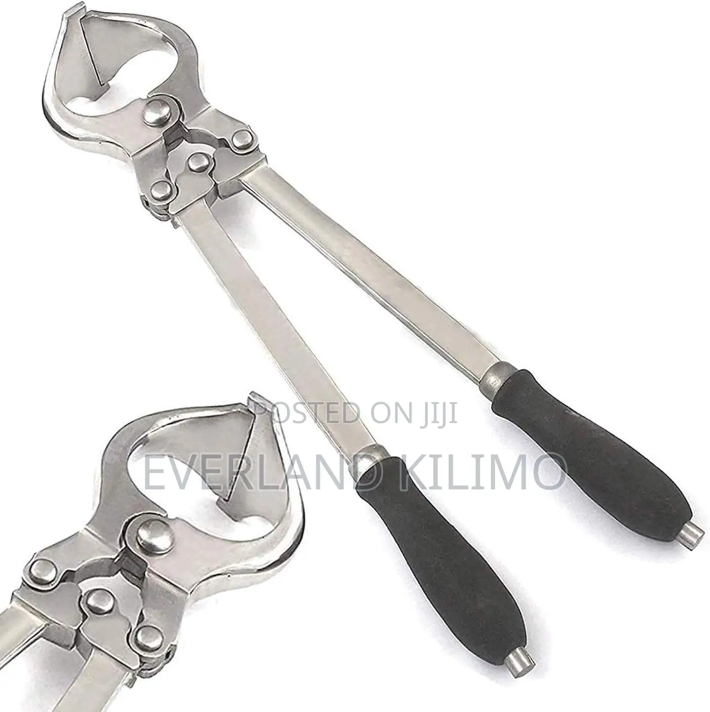 Burdizzo For Castration