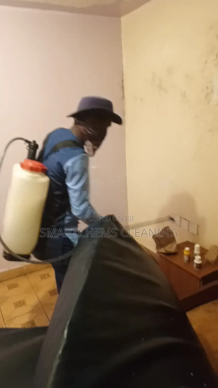 Bedbugs Elimination Thika Road