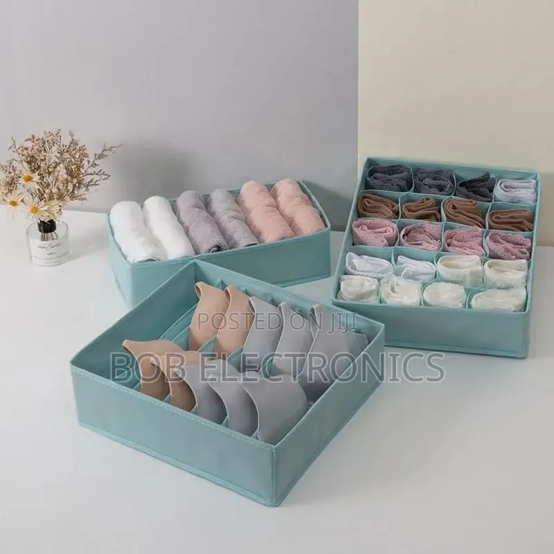 3 in 1 Undergarment Organizer