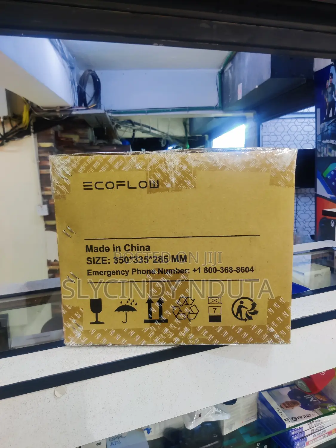 Ecoflow Power Station