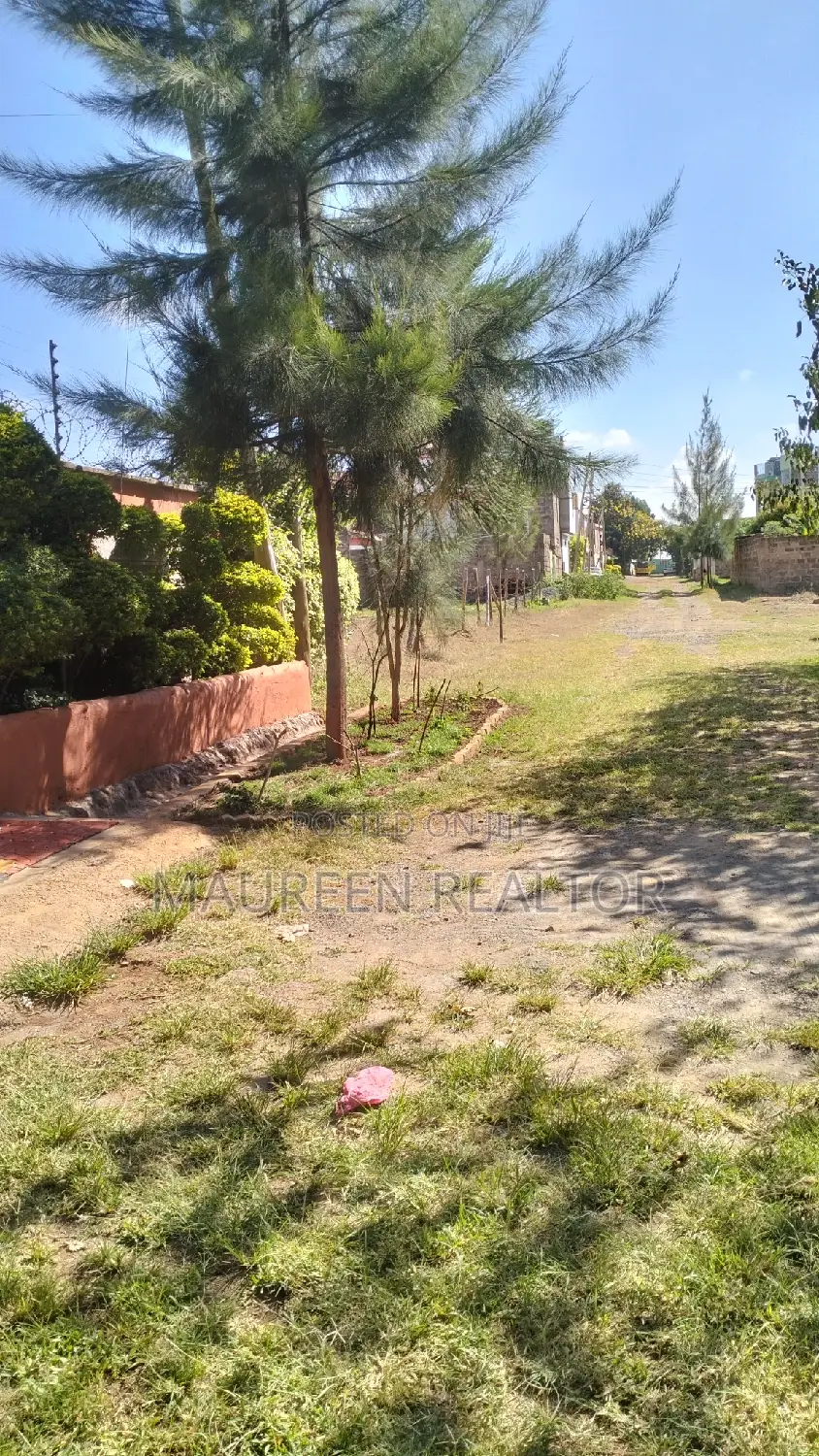 Plots for Sale-Kenyatta Road ,Juja