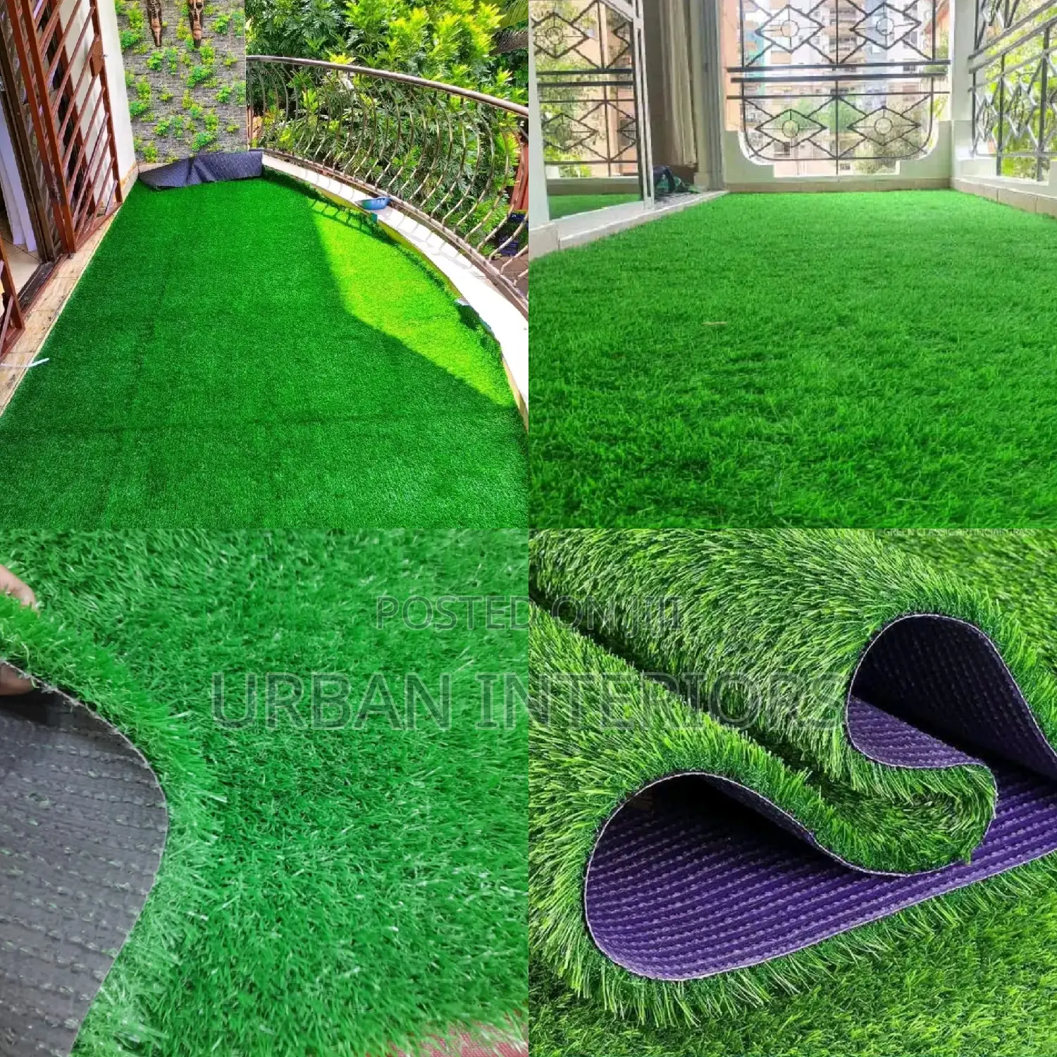 Turf Grass Turf Grass Turf Grass Turf Grass Turf Grass