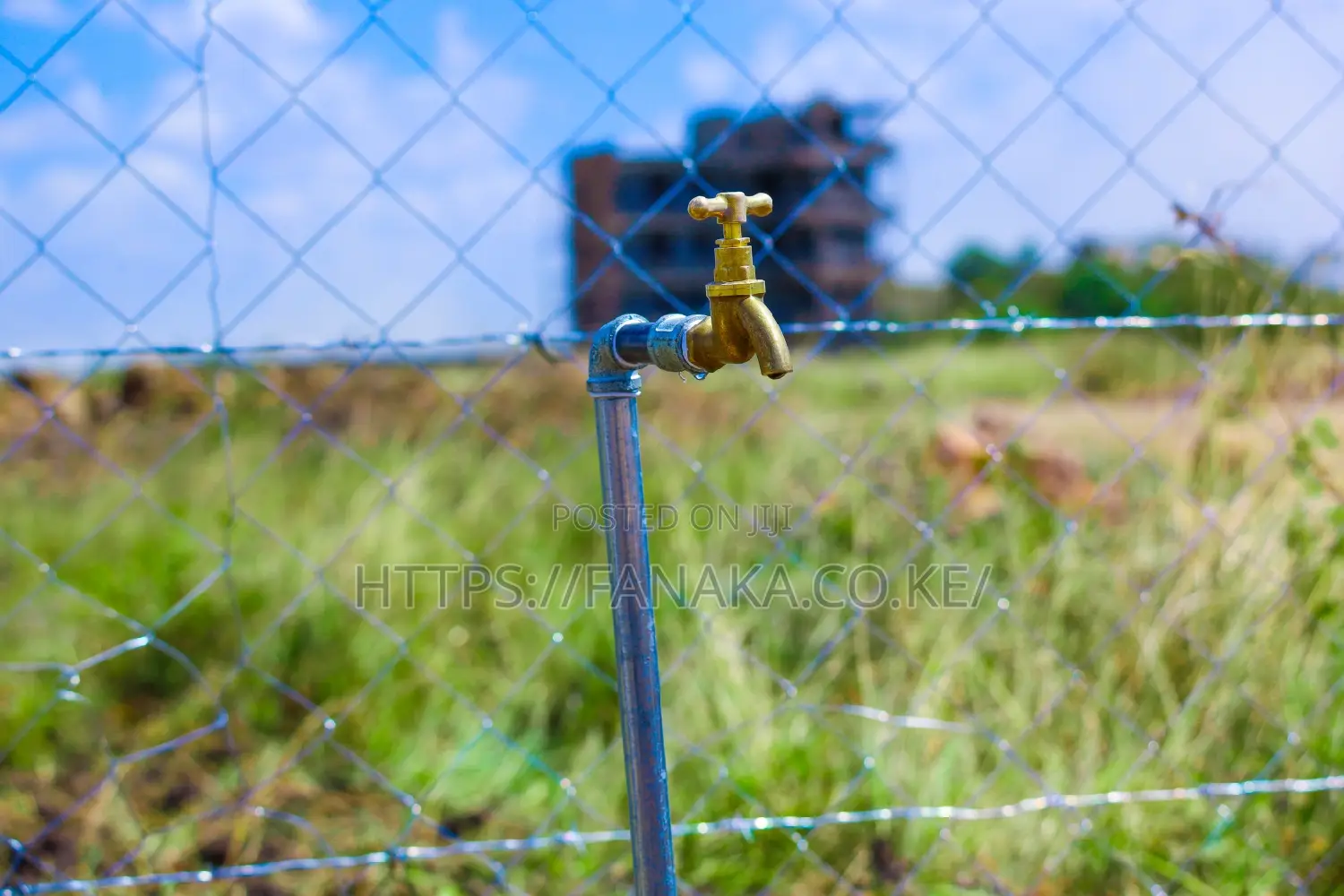 Katani Plots at 1.6M ^JO