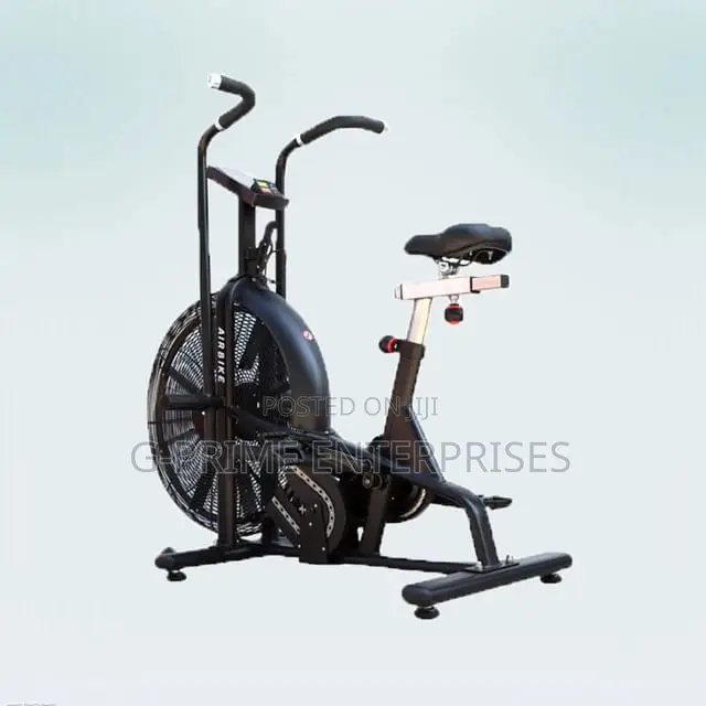 Domestic Air Bike