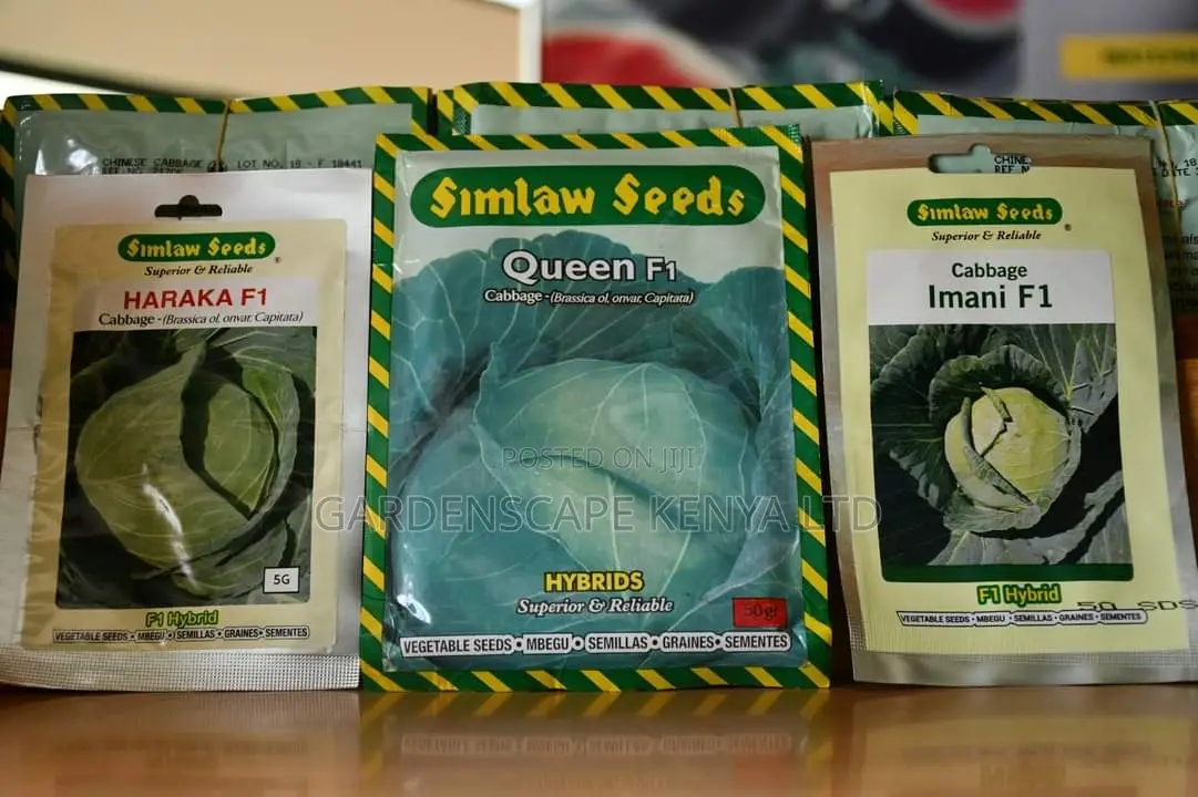 Cabbage Seeds From 25g