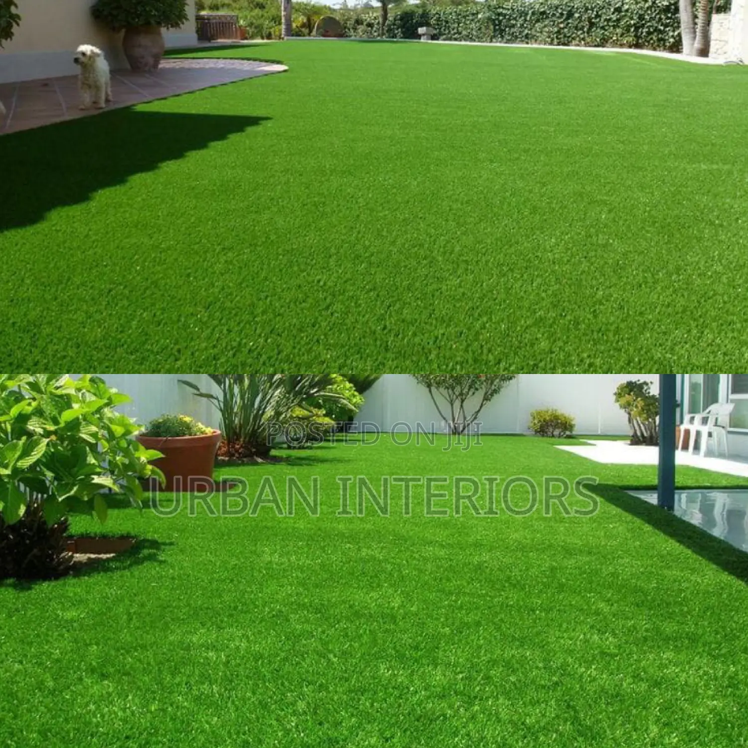 Grass Carpet Grass Carpet Grass Carpet Grass Carpet