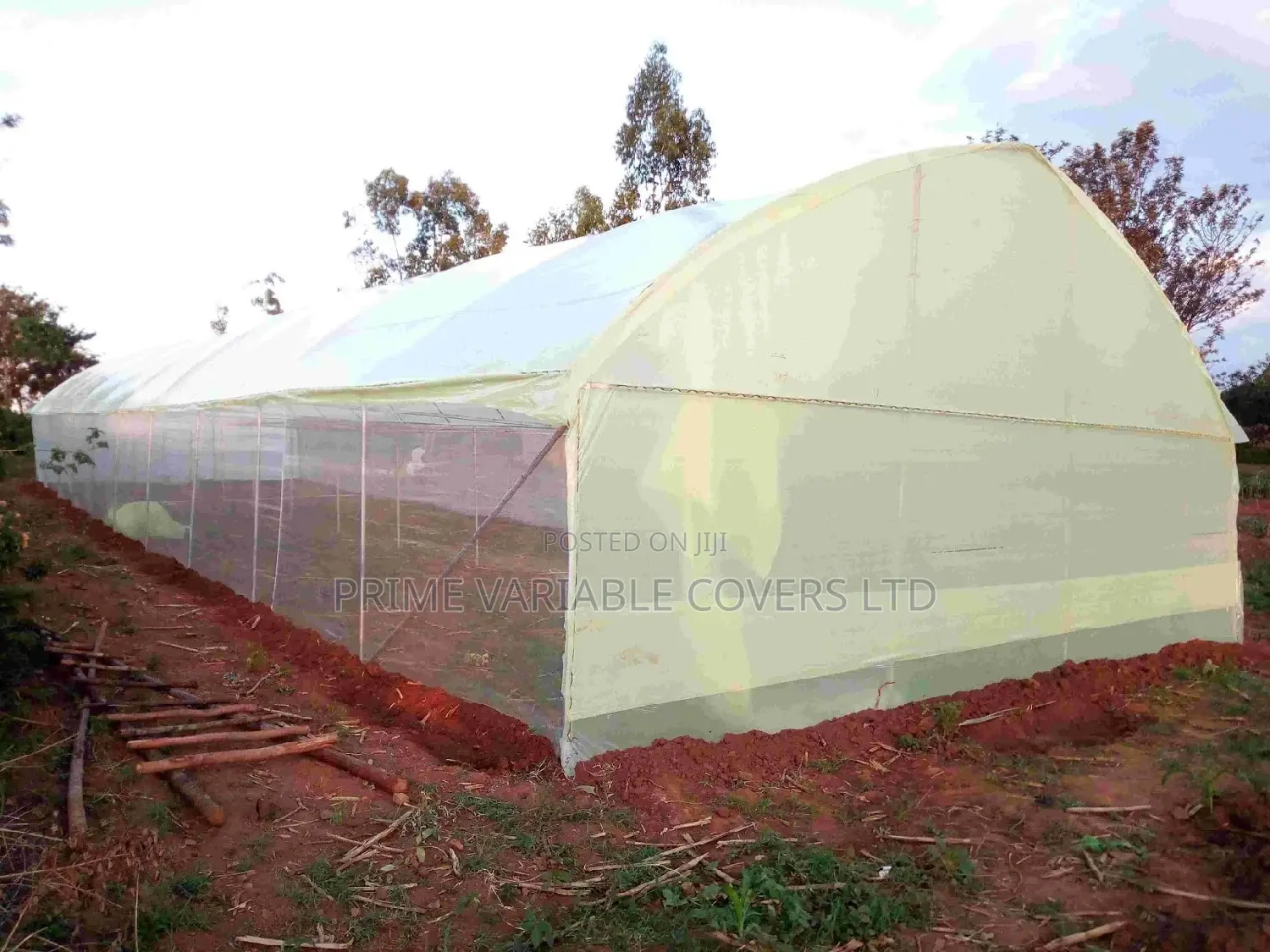 Yellow Polythene Used As Damliner