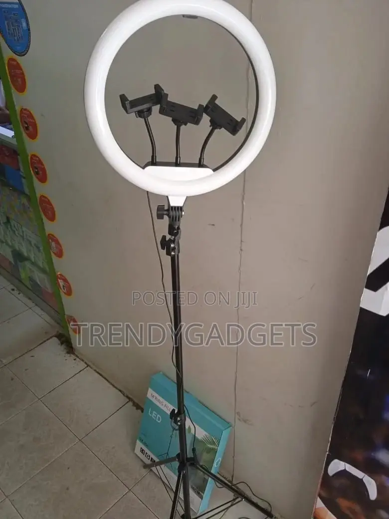 14 Inch Ringlight and Phone Holder Light Tripod for Phone2.1