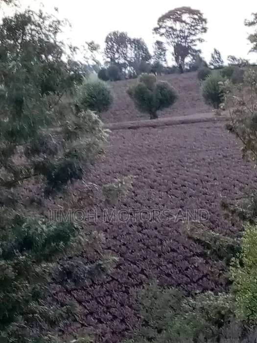 TWO ACRES OF LAND FOR SALE