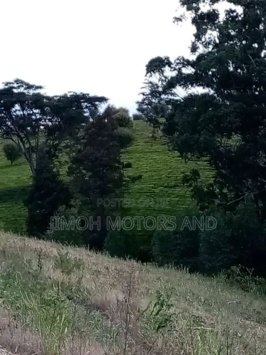 TWO ACRES OF LAND FOR SALE