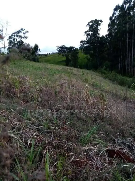 TWO ACRES OF LAND FOR SALE