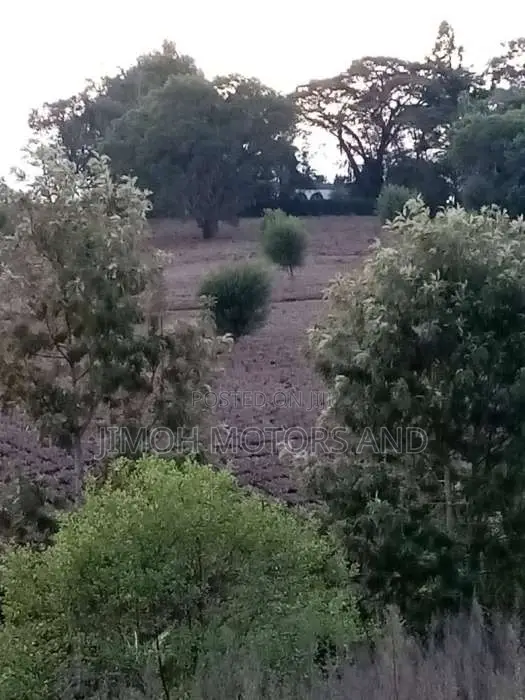 TWO ACRES OF LAND FOR SALE