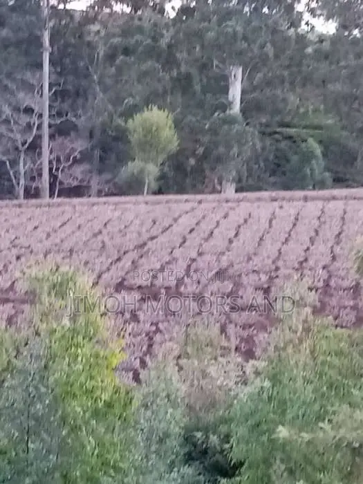 TWO ACRES OF LAND FOR SALE