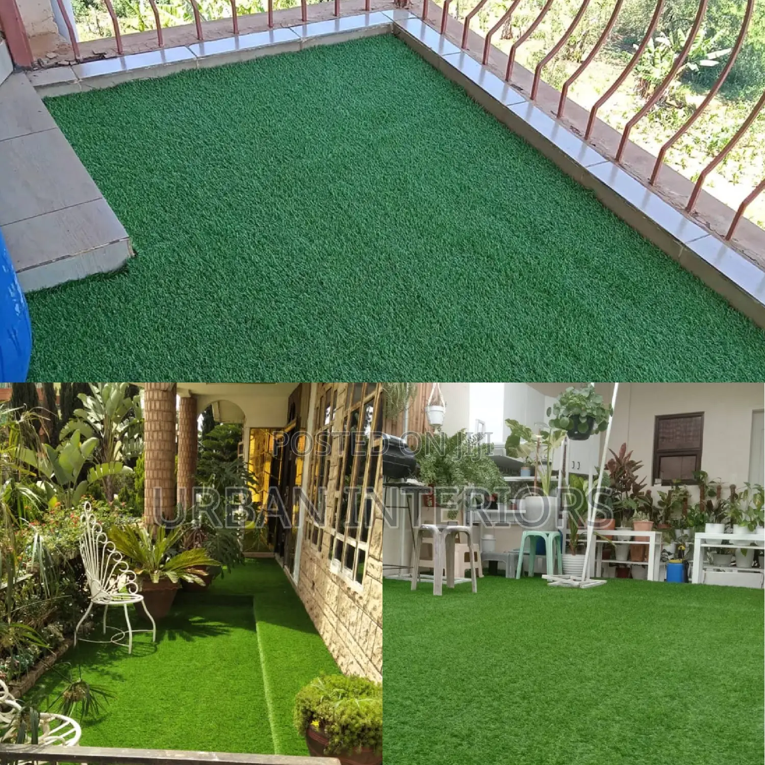 Grass Carpet Grass Carpet Grass Carpet Grass Carpet