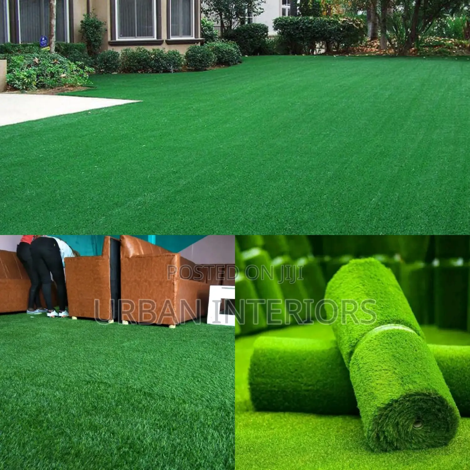 Grass Carpet Grass Carpet Grass Carpet Grass Carpet