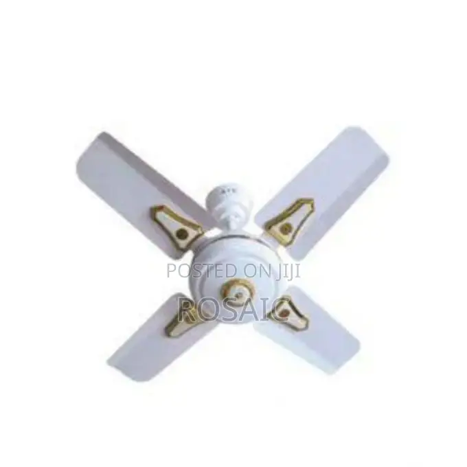 Windsor 24" Inches Ceiling Fan, Ceiling Fan