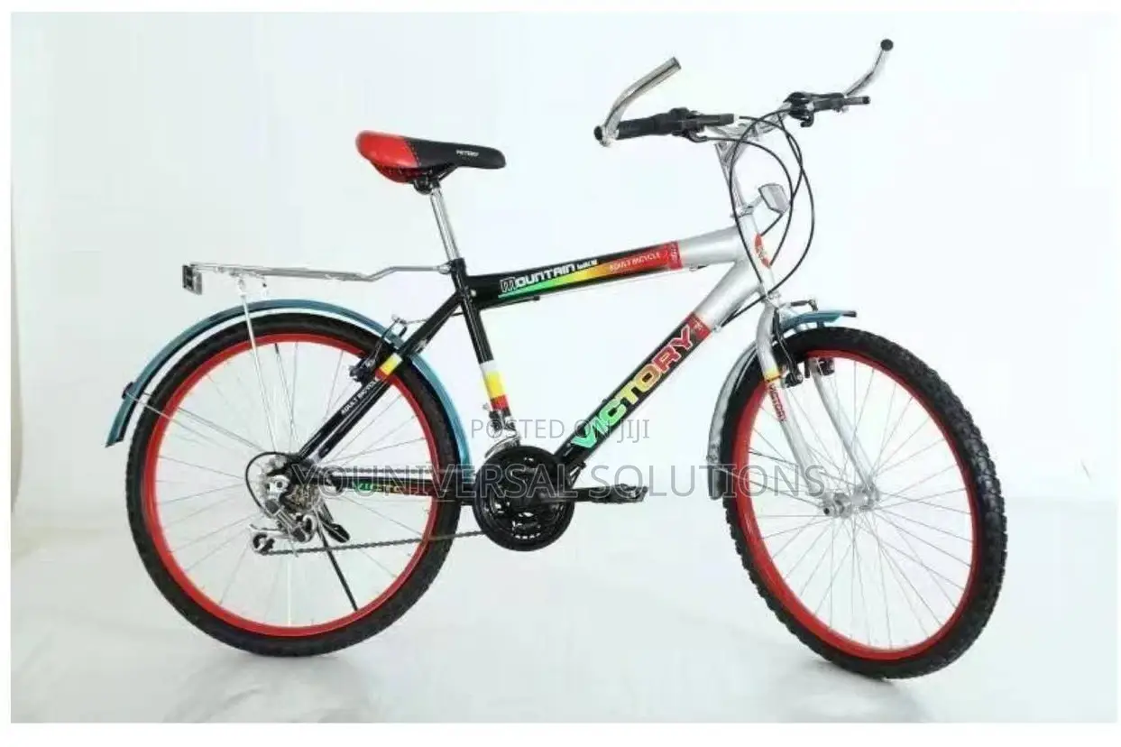 Size 24 Victory Bike