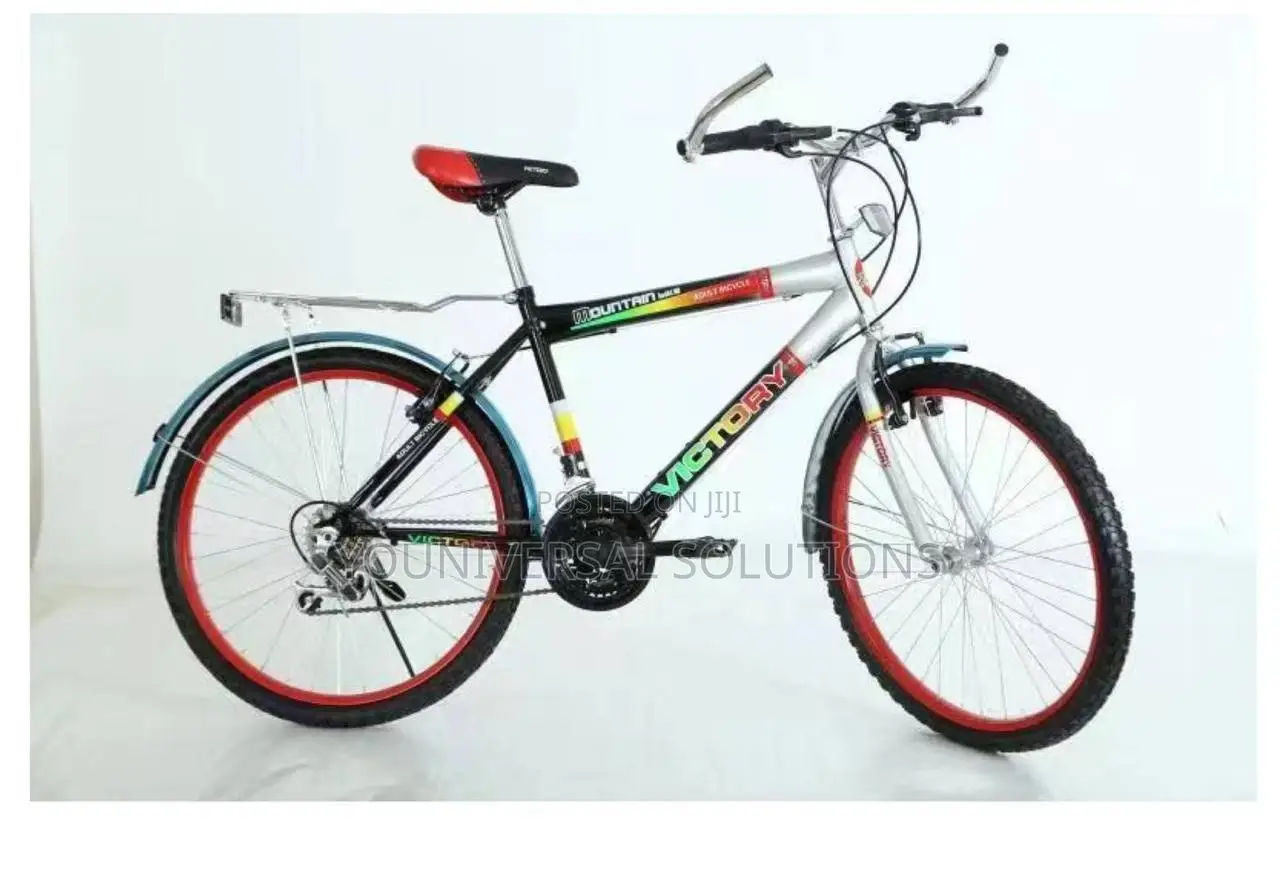Size 24 Victory Kids Bike