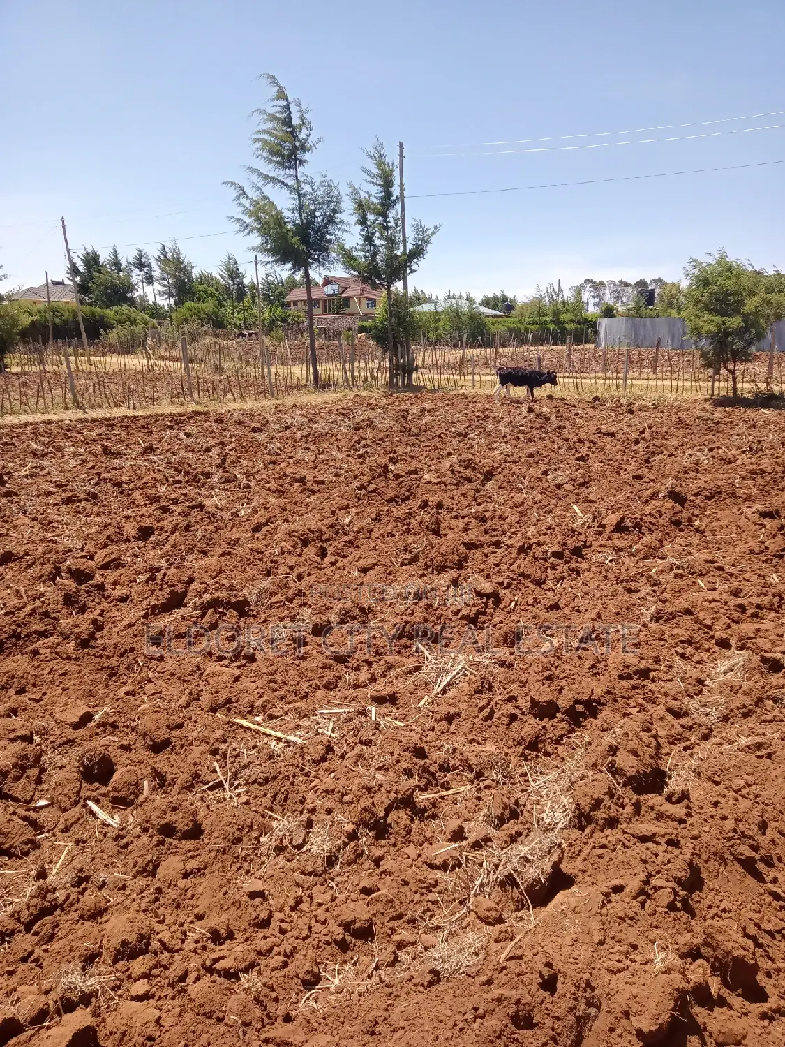 1/4 Plot Kipkorgot Ideal for Residential