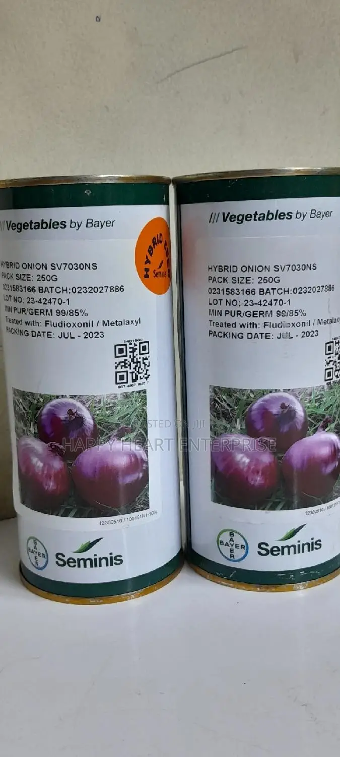 Sv Hybrid Onion 7030 Ns 250 Grams