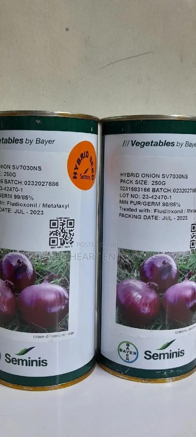 Sv Hybrid Onion 7030 Ns 250 Grams