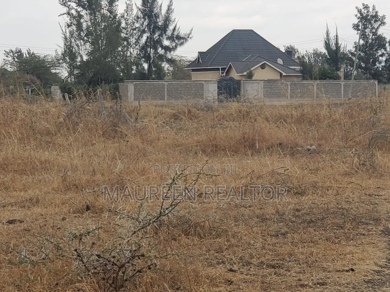 50×100 Plots for Sale- Mutalia