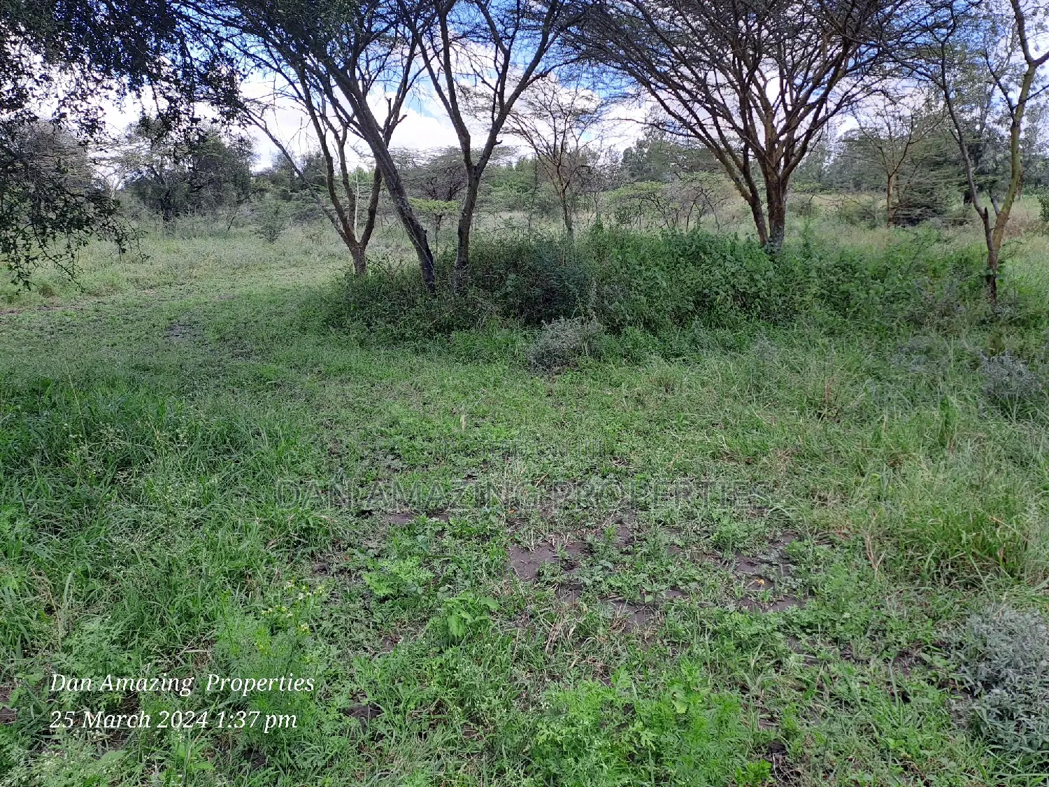5 Acres for Sale Along Isinya Road at Dawamu SCH as a Block