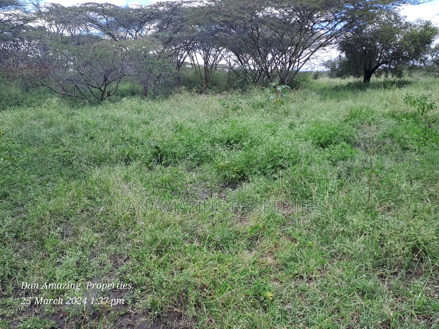 5 Acres for Sale Along Isinya Road at Dawamu SCH as a Block