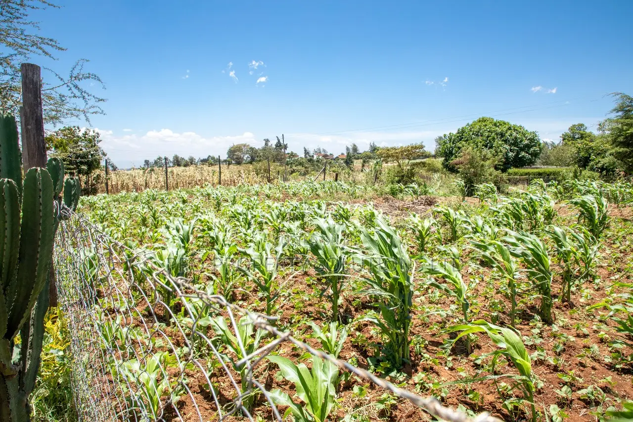 Prime Residential Plots in Kikuyu, Kamangu for Sale 