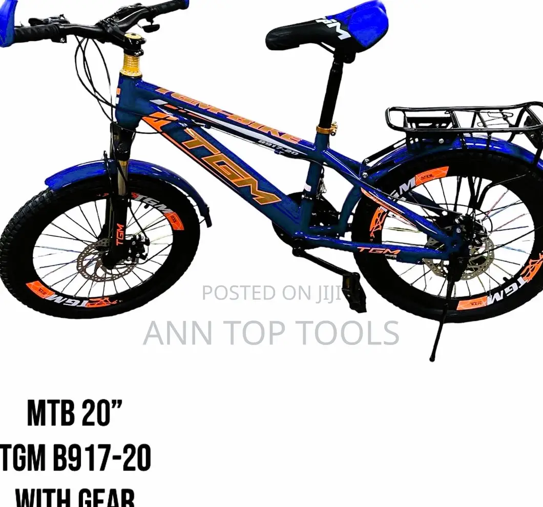 Mountain Bike With Gear Size 20