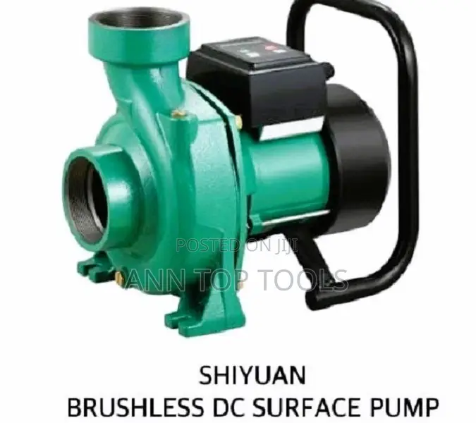 Shiyuan Brushless Dc Surface 2" Pump 48v 1200w + Controller
