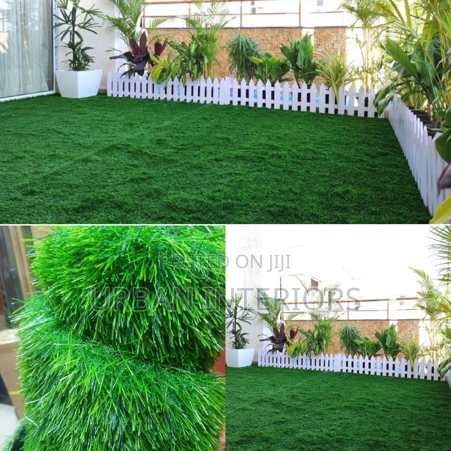 Grass Carpet Grass Carpet Grass Carpet Grass Carpet