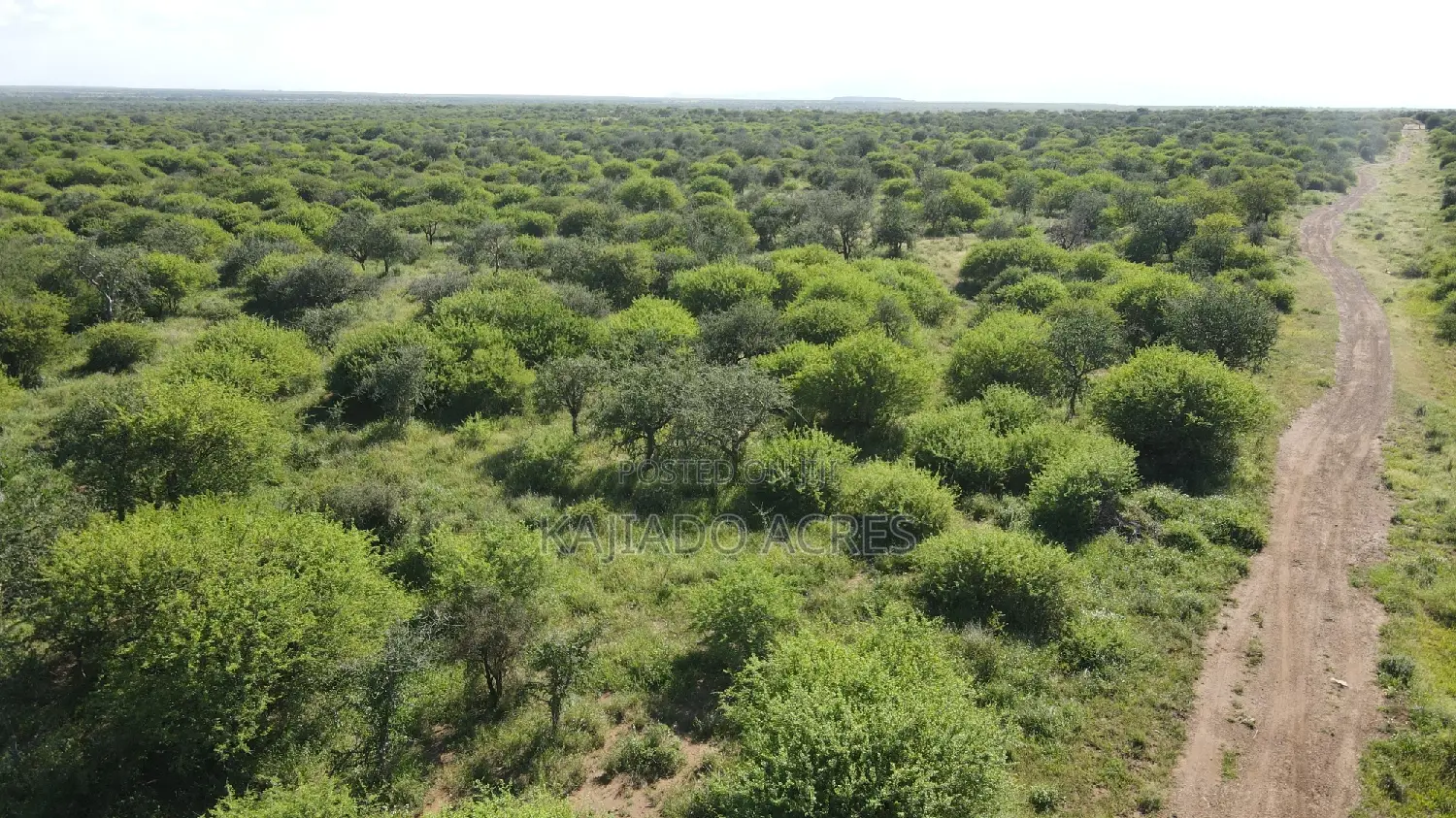 18 Acres Oloika at Per Acre